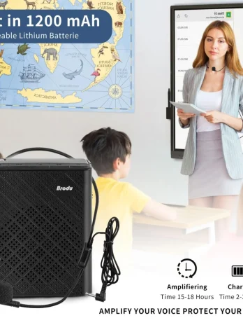 BRODU BTS-1385 Wireless Subwoofer Speaker